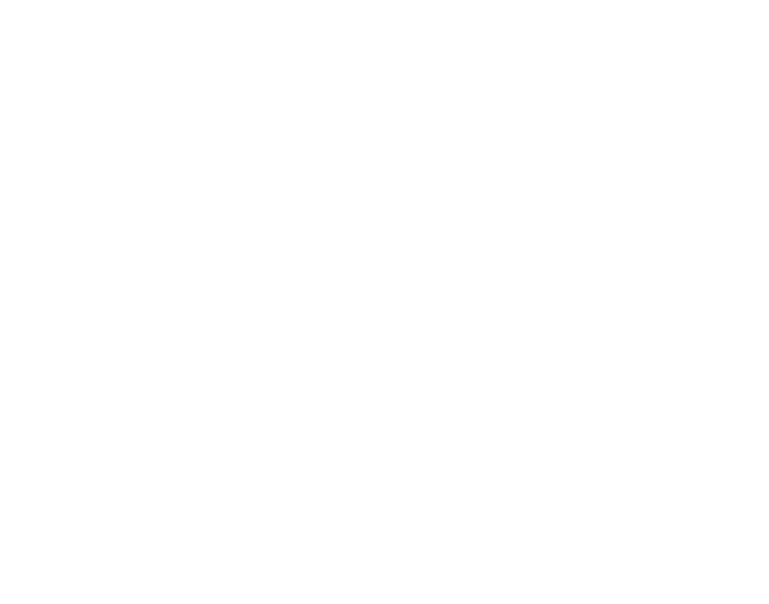 Dual Câmera